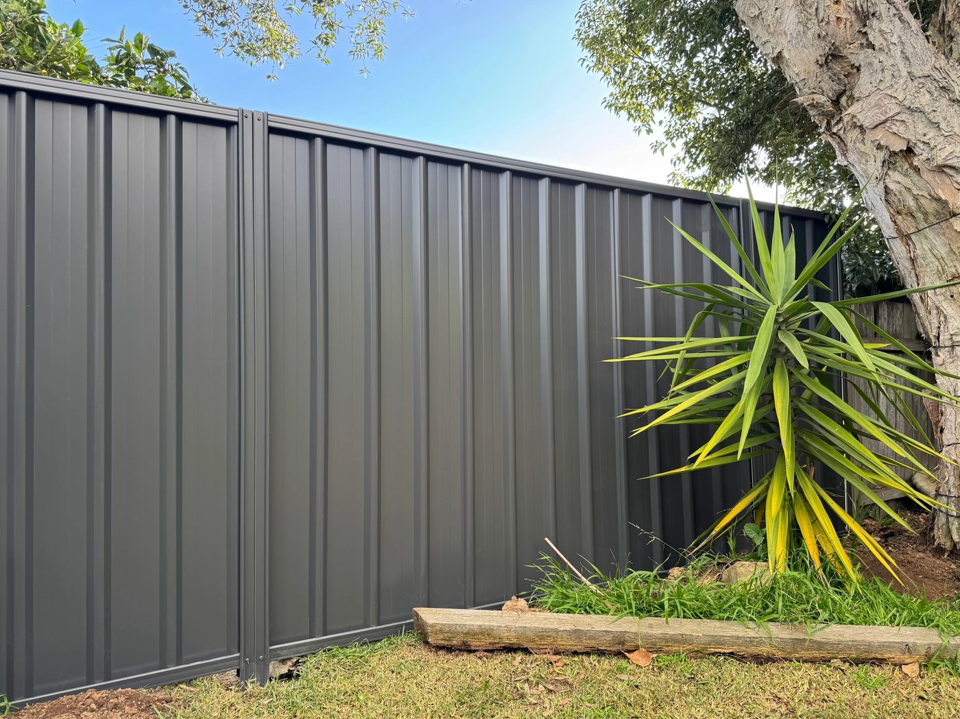 Close-up of Colorbond fencing panel and garden edge